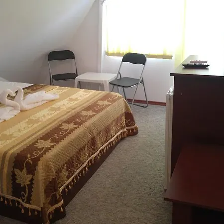 Pensiunea La Castel - Piscina Incalzita 3*