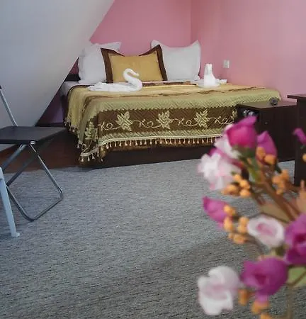 Gasthuis Pensiunea La Castel - Piscina Incalzita 3*